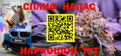 дживик Дубна