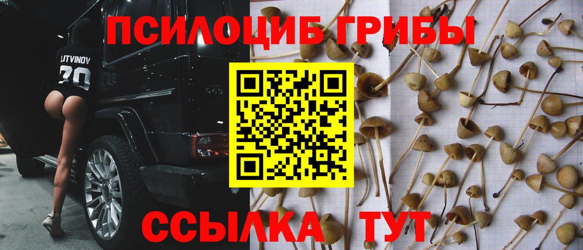 Псилоцибиновые грибы MAGIC MUSHROOMS Будённовск