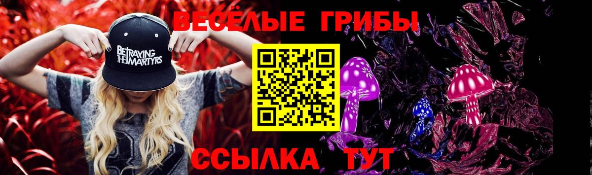 Псилоцибиновые грибы Cubensis  Вход с VPN  Будённовск  Псилоцибиновые грибы GOLDEN TEACHER 